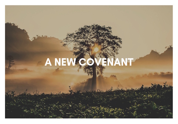 A New Covenant